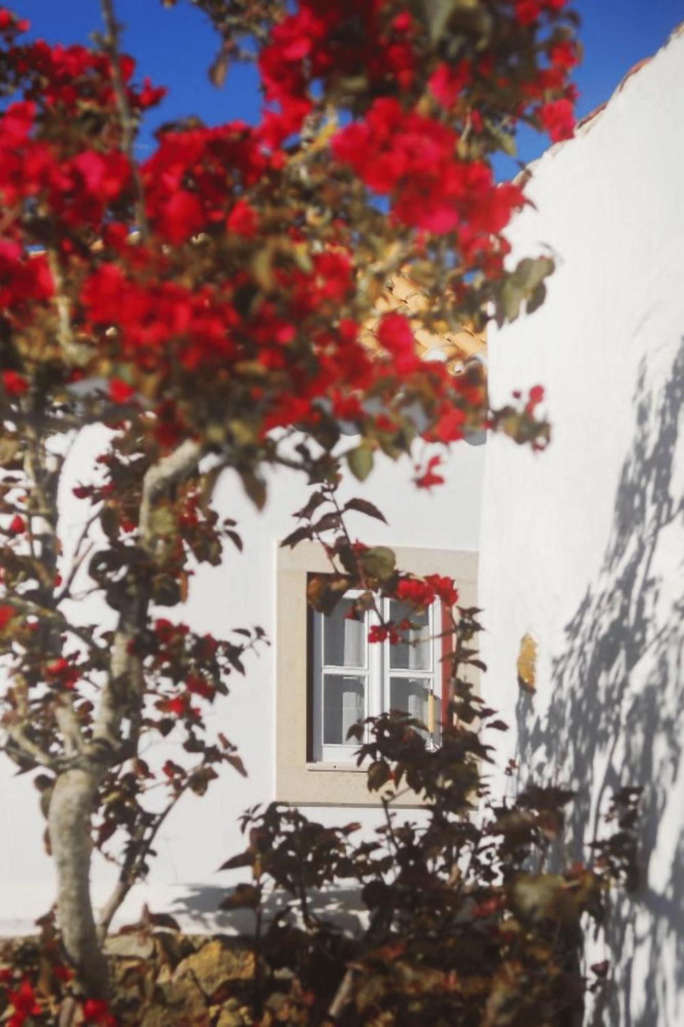 Casas Da Tia Alice - Casas De Campo Encantadoras Em Mafra Esterno foto