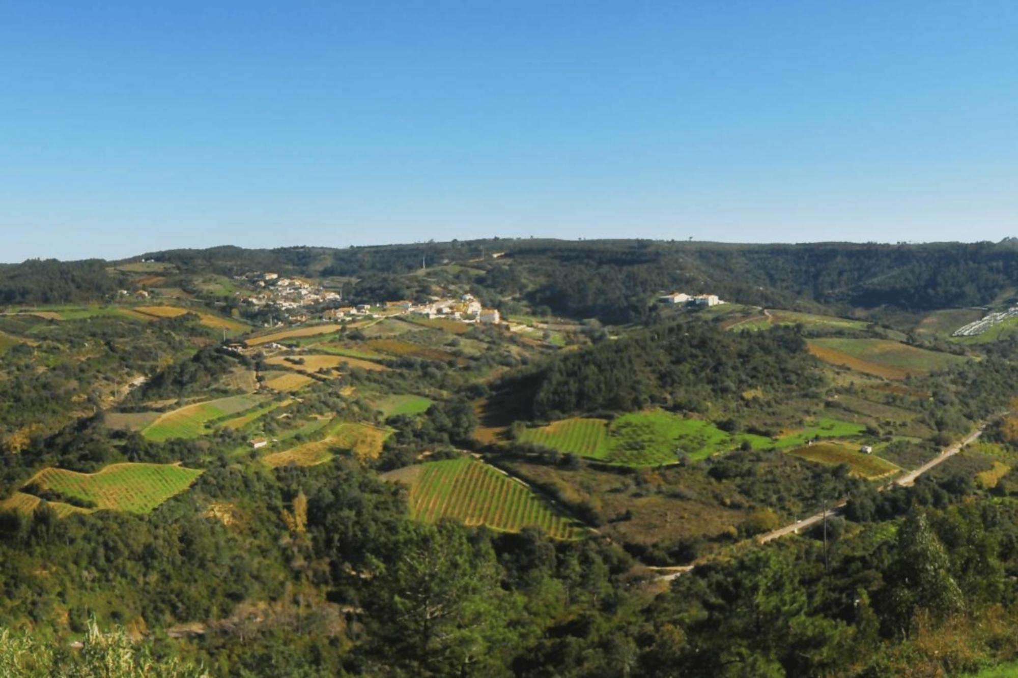 Casas Da Tia Alice - Casas De Campo Encantadoras Em Mafra Esterno foto